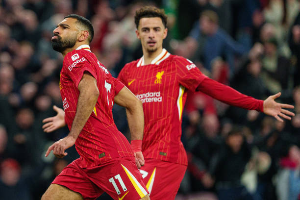 不仅表达了 不仅表达了