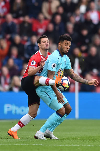 本土替代企 本土替代企