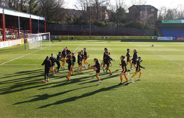 莱昂纳多是 莱昂纳多是