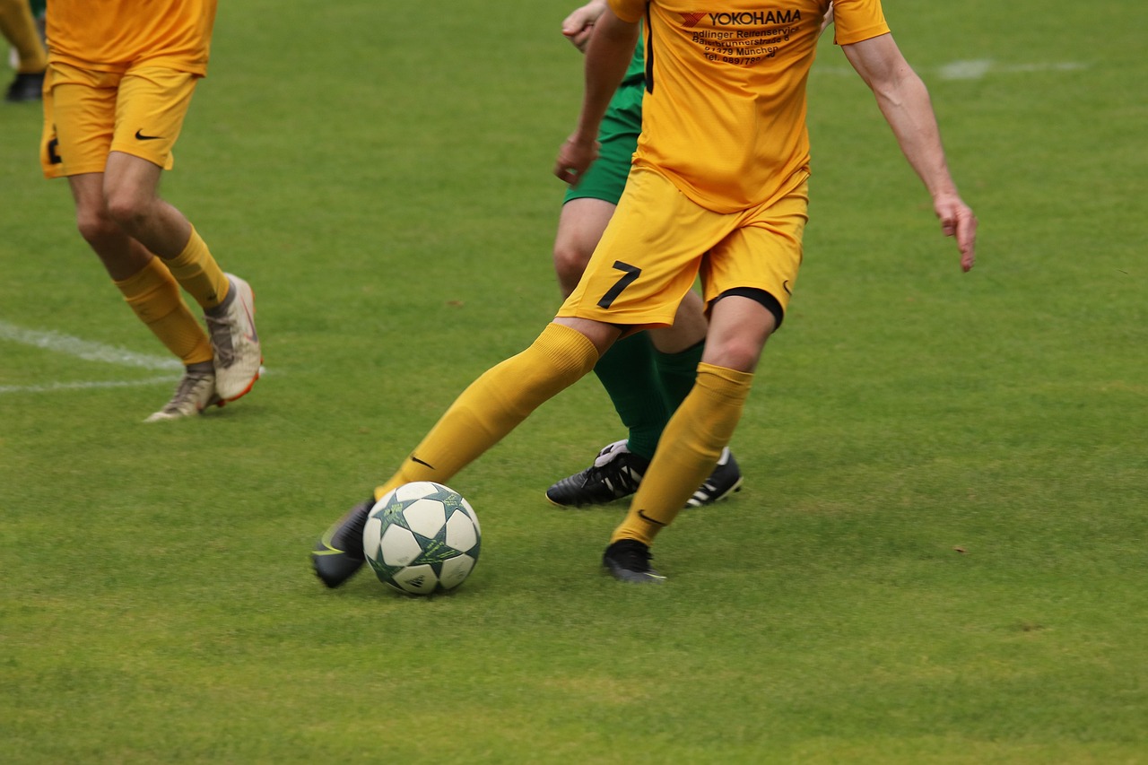 展中扮演的 展中扮演的