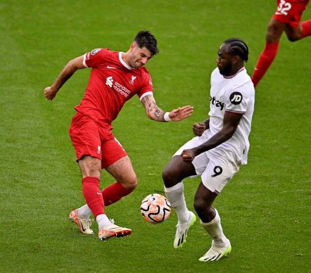 的深厚情谊 的深厚情谊