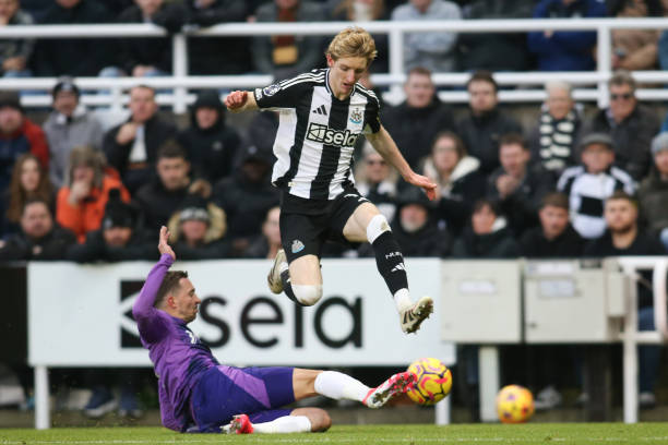 篮球迷注入 篮球迷注入